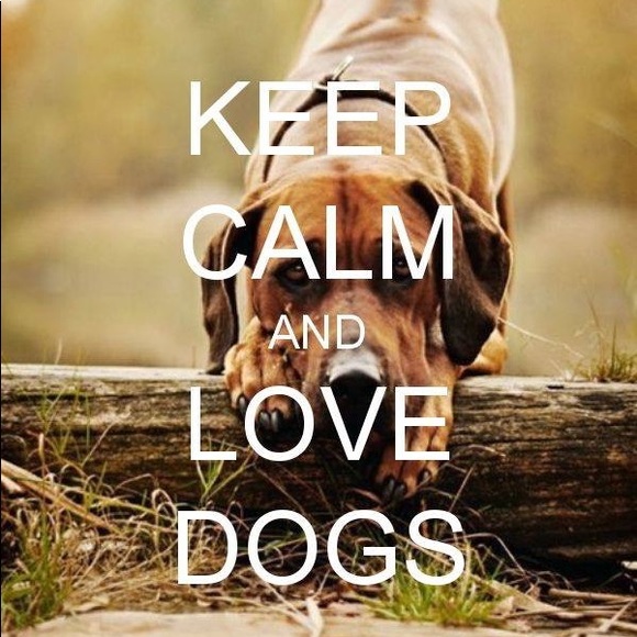 Meet your Posher, Heidi - Picture 3 of 9